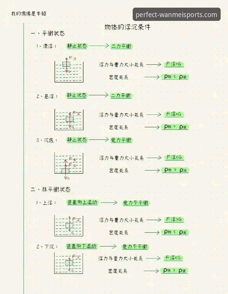 完美体育手机端实用指南：从下载到直播的全流程必备知识